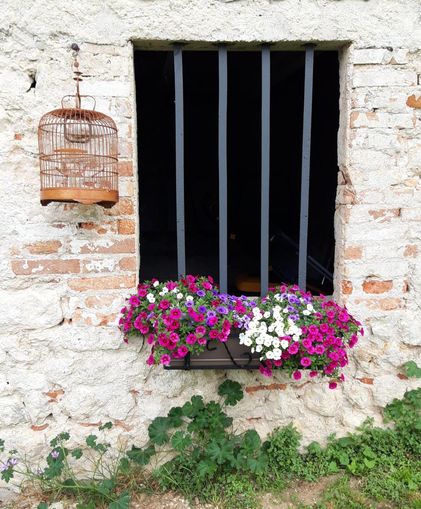 Apartamento Casa Paola Borso del Grappa Exterior foto