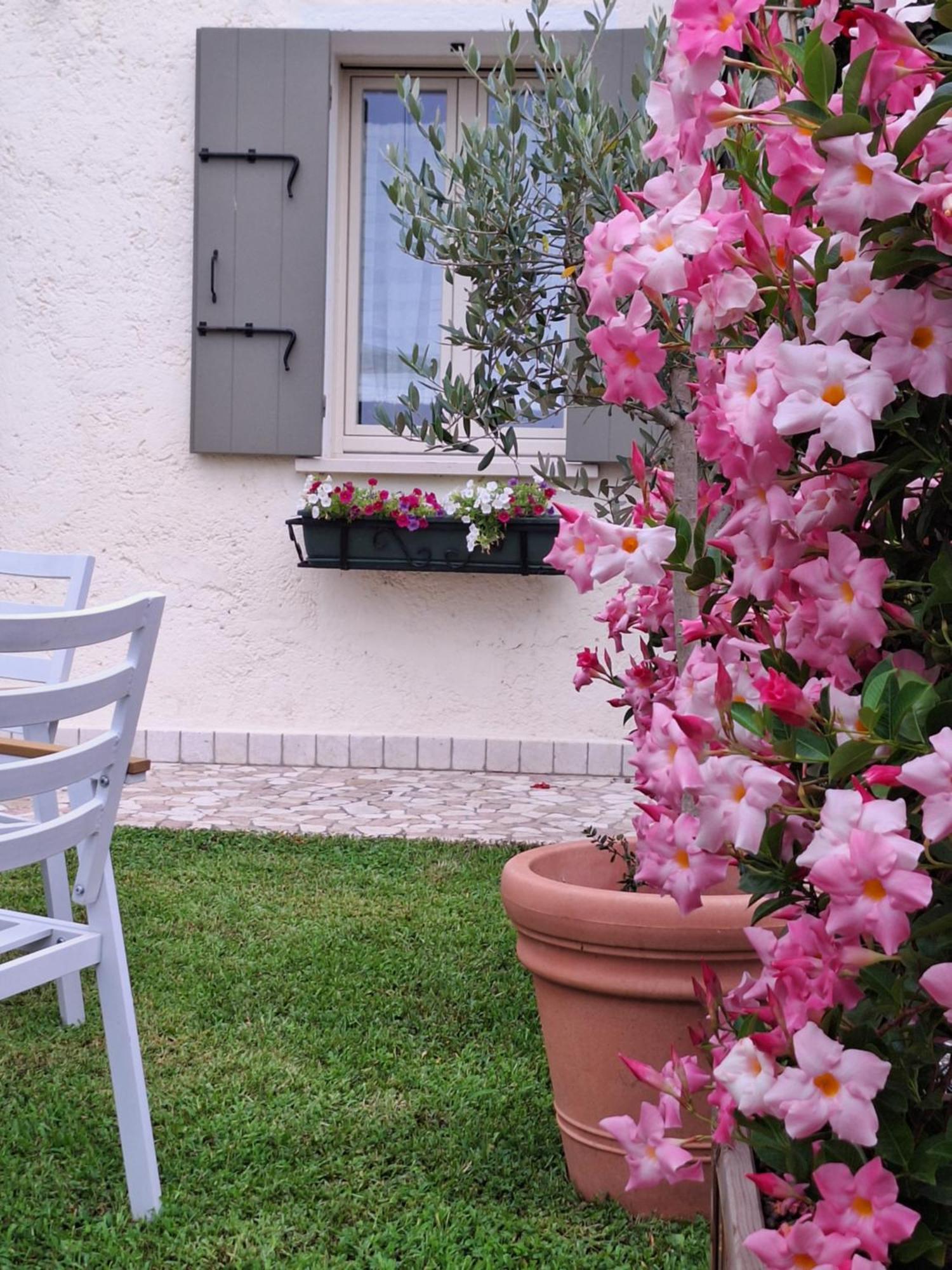 Apartamento Casa Paola Borso del Grappa Exterior foto