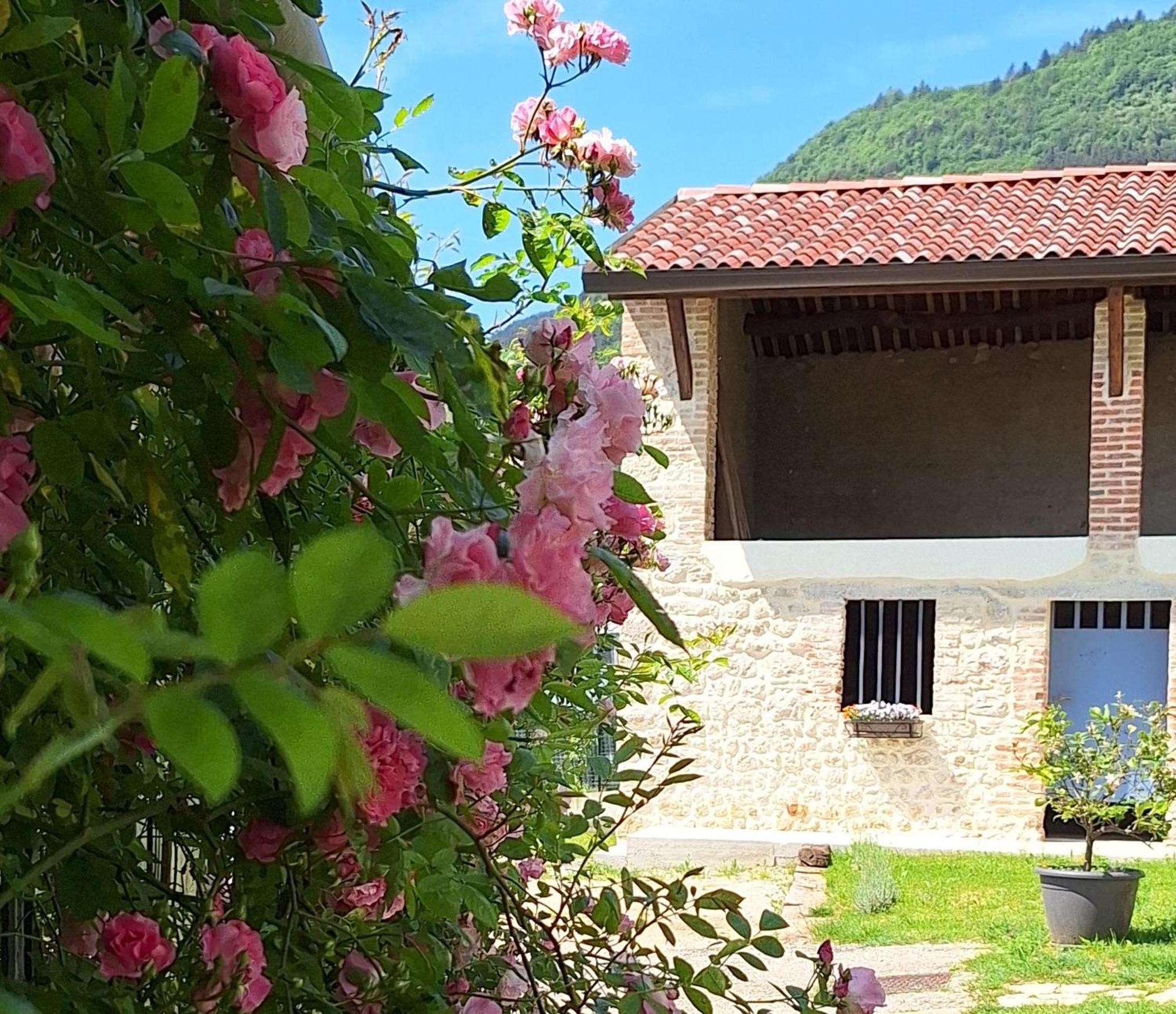 Apartamento Casa Paola Borso del Grappa Exterior foto